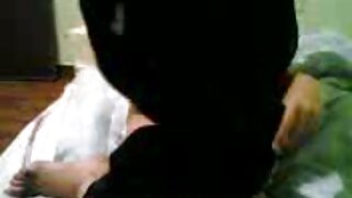 Լատինաամերիկյան թխահ ...
