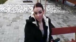 Թափթփուկ բիթներին կե ...